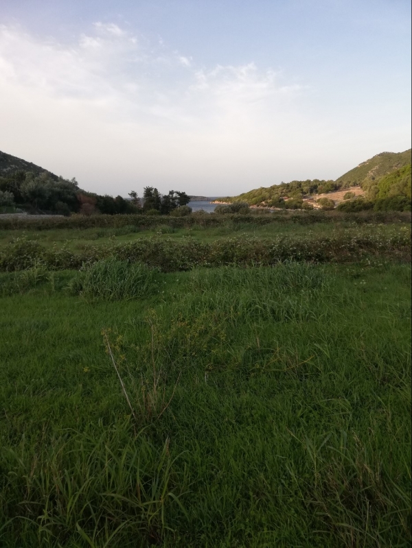 &Alpha;&gamma;&rho;&omicron;&tau;&epsilon;&mu;ά&chi;&iota;&omicron; 12 &sigma;&tau;&rho;έ&mu;&mu;&alpha;&tau;&alpha; &sigma;&tau;&omicron; &Pi;ό&rho;&tau;&omicron; &Alpha;&theta;έ&rho;&alpha;
